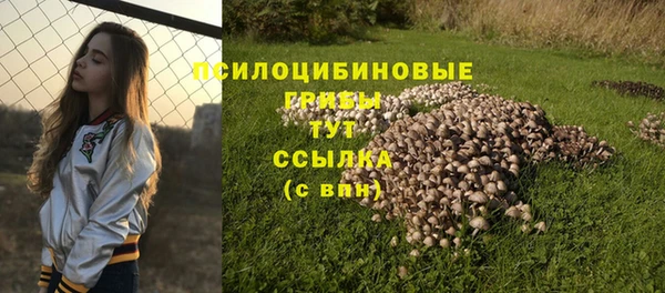 шишки Кулебаки