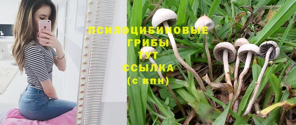 меф VHQ Кукмор