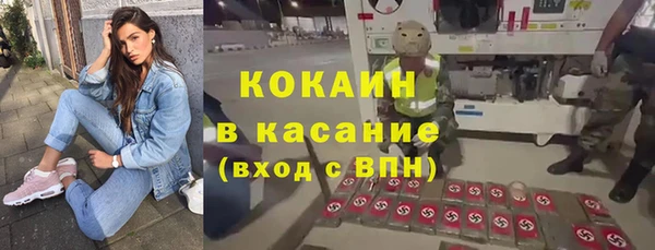 шишки Кулебаки