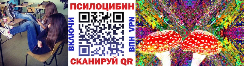 Псилоцибиновые грибы GOLDEN TEACHER  гидра ссылка  Заозёрск 